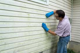 Affordable siding repair and maintenance services in Reedley, CA